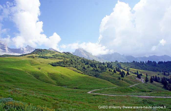 Alpage du Col des Annes, depuis le Grand Bornand prendre la route de la vallée du Bouchet jusqu'au bout