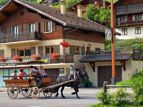 Place du village spectacle fête de noël