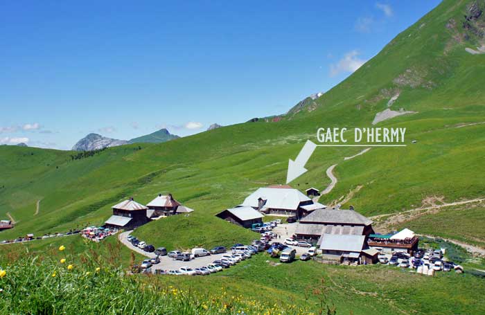 Reblochon, tomme de Savoie, beurre frais, yaourt gaec d'hermy